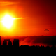 Illustration for article titled Shooting Challenge: Summer Solstice